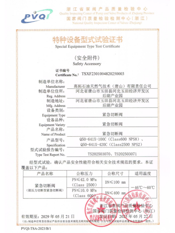 ESDV Type Test Certificate