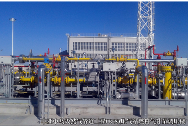LNG (Liquefied Natural Gas) Supply System